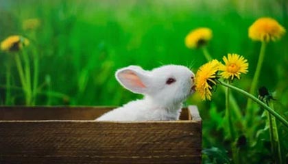 尤文在奥运会中反差输给对手，莫德里奇赛后表情让人懵了